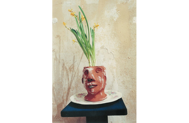 narciso
