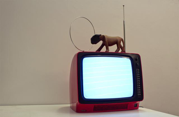 circo mediatico