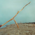 solitudo -1988a1