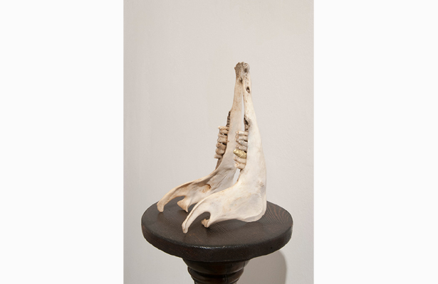 Pasquale Altieri, Mouseion, 2016 photo Germano Serafini (7)
